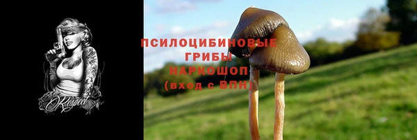 спиды Алексеевка