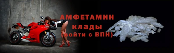 индика Козельск